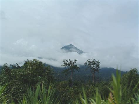 Great Mountain Mount Cameroon