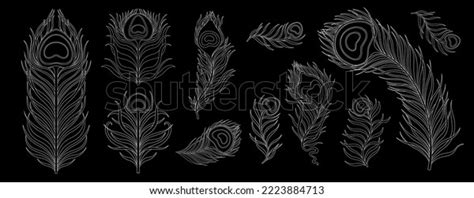 Peacock Feather Vintage Style Set Art Stock Vector (Royalty Free ...