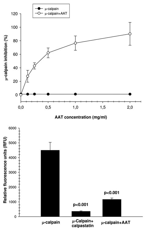 Aat Inhibits Calpain I Activity In Vitro Dose Dependent Inhibitory