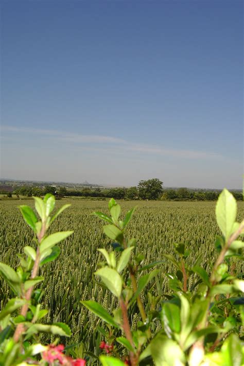 Nature04 Saint Quentin Sur Le Homme