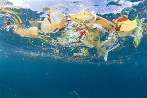 How Many Marine Animals Die From Plastic Each Year Earthorg