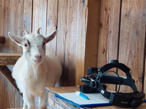 Residents Research - Eye Vet Clinic