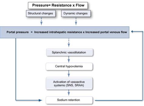 Portal Hypertension Stages