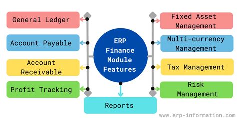 Erp Finance Module Types Of Reports And Useful Features