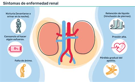 Laboratorios Centro Medico Filtración Glomerular