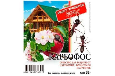 12 ТОП способов как бороться с долгоносиком в 2024 году на клубнике ...