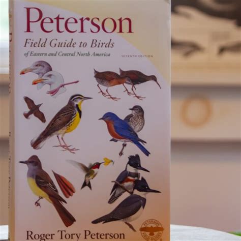 Peterson Field Guide To Birds Of Eastern And Central North America