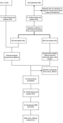 Frontiers Effect Of Acupuncture In The Acute Phase Of Intracerebral