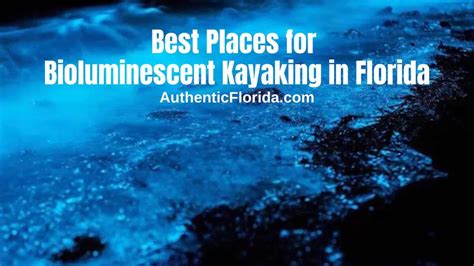 Best Places For Bioluminescent Kayaking In Florida Authentic