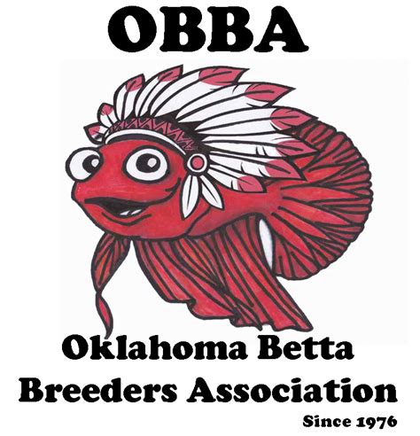 OBBA Spring Show One – International Betta Congress