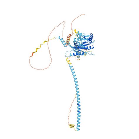 RCSB PDB AF AFP40797F1 Computed Structure Model Of Protein Peanut