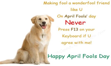 April Fool 2023 इन मैसेजस के साथ बनाइये अपने दोस्तों को अप्रैल फूल देखिये ये जोक्स और इमेज