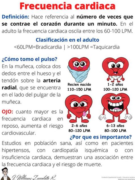 Exploración Física Frecuencia Cardíaca José Williams Zuccolotto Ramón Udocz