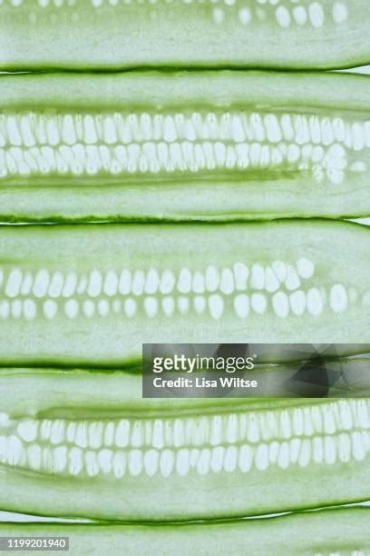 Cucumber Texture Photos And Premium High Res Pictures Getty Images