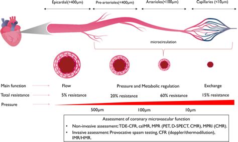 Coronary Microvascular Dysfunction And Myocardial Infarction With Non