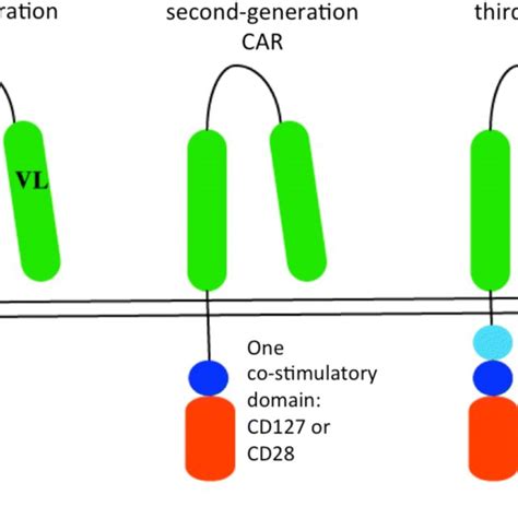 Immunoglobulin T Cell Receptor Constructs For The Generation Of CAR