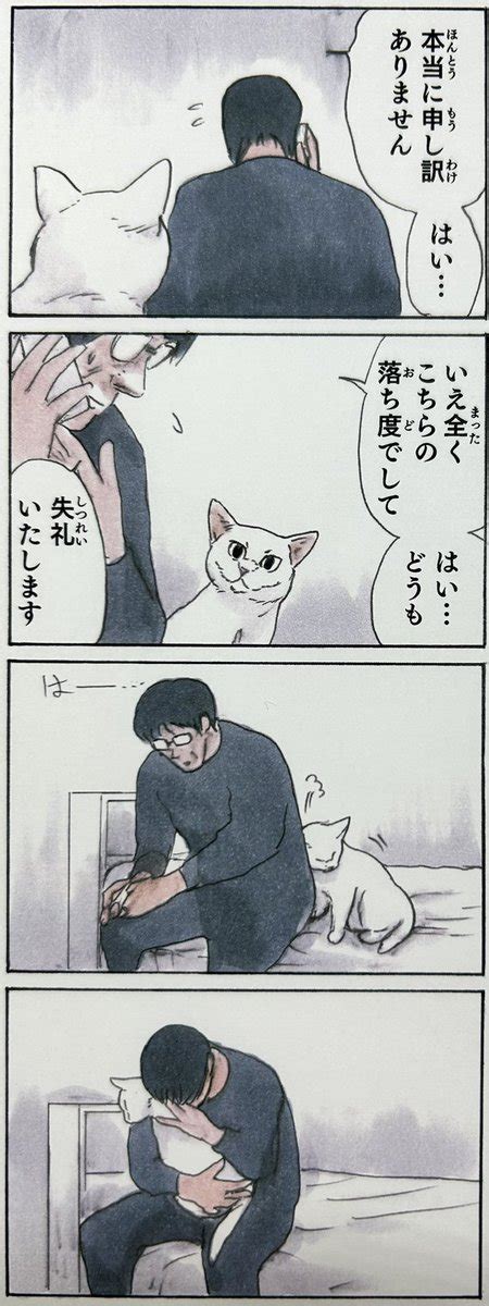 拾い猫のモチャ8完結』 8月2日発売です。全てを出し切り最高のスルメ本として完結に至りただただ感謝しかないです。ご」にごたろの漫画