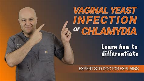 How To Differentiate Between Chlamydia And Vaginal Yeast Infection By Expert Std Doctor Youtube