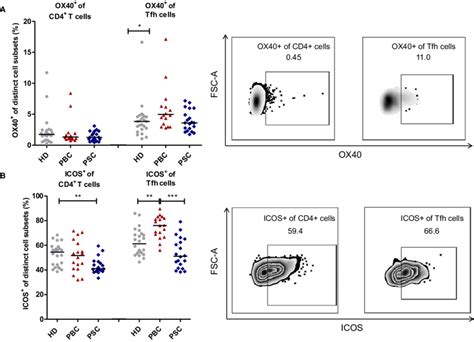 Tfh Cell Activation In Patients With Pbc Or Psc Frequencies Of The