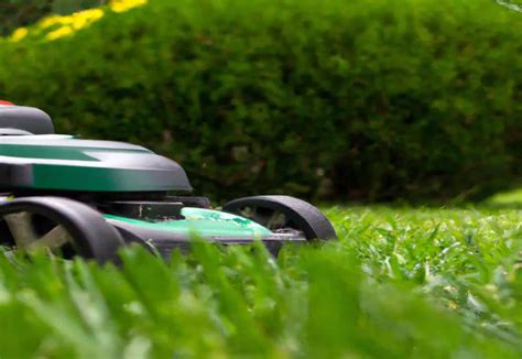 How Much Gas Does A Lawn Mower Use Understanding Fuel Consumption And Efficiency