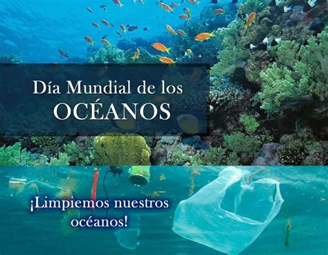 Dia Mundial De Los Oceanos Dia Mundial Mundial De Feliz Dia Themelower