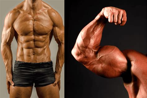 The Only Chest And Bicep Workout You Need Get Big And Strong