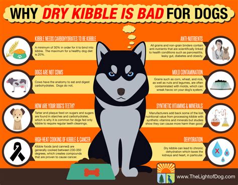 Why dry kibble is bad for dogs - The Light Of Dog