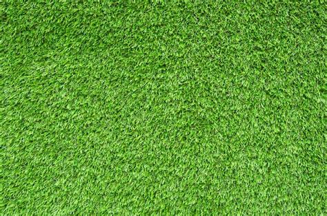 Artificial Green Grass Photo Free Download