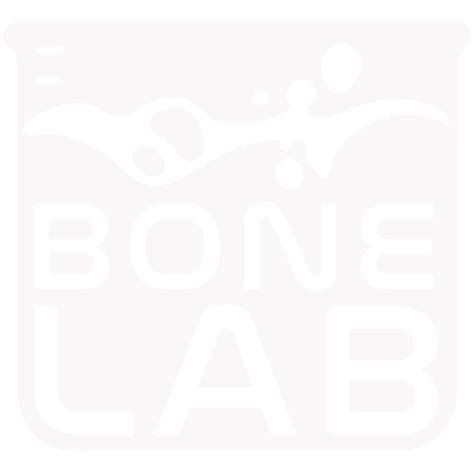 BONELAB Save Editor - Visual Studio Marketplace