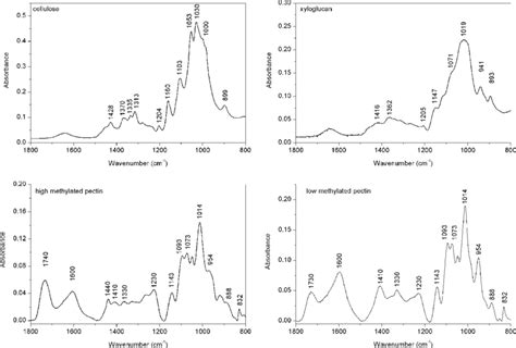 Ft Ir Spectra Of High And Low Methylated Pectins Cellulose And