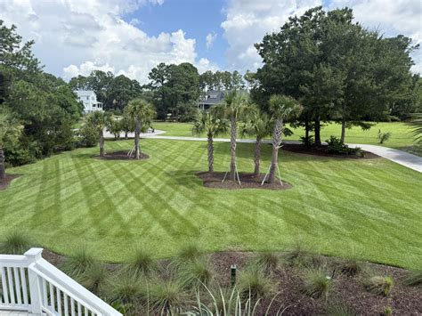 The basics wilmington nc menu items that locals absolutely love 2