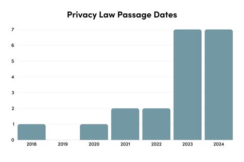 The State of State Privacy Laws: What Businesses Need to Know (2024
