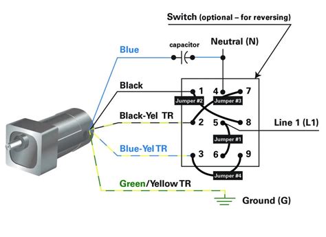 3 Phase Switch Wiring » Wiring Diagram