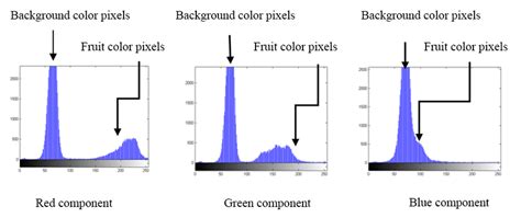 Histogram For Each Of The Rgb Components Used In Image Segmentation And