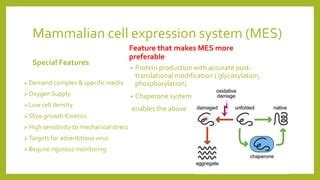 Mammalian cell expression system | PPT