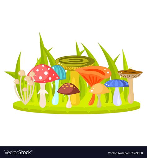 Forest Mushrooms On Grass Lawn Royalty Free Vector Image