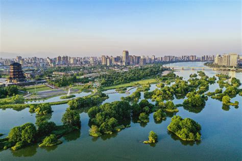 “文明中国·看汉中”系列报道丨天汉湿地公园：守护好市民的“幸福园” 陕西文明网