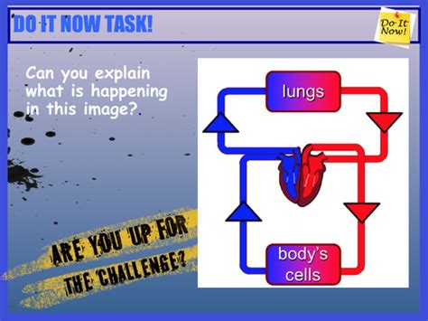 Double Circulatory System Teaching Resources