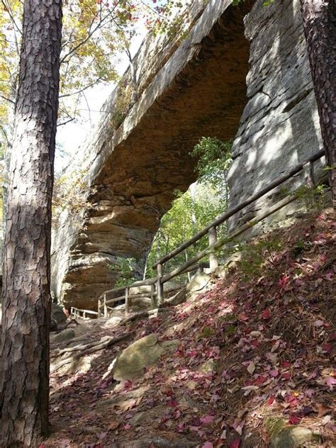 Natural Bridge, Kentucky | State Parks and Road Trip Destination