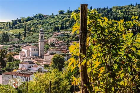 Alla Scoperta Della Valpolicella Classica Tra Le Vigne Della Storica