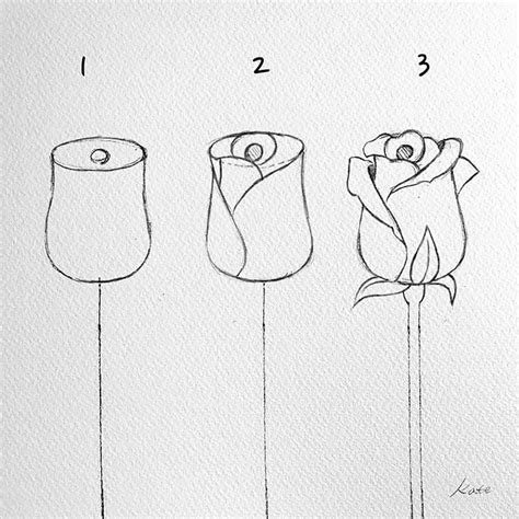 Easy Drawing Step By Step Flowers - 1001 Ideas And Tutorials For Easy ...