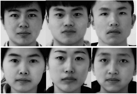 Frontiers Sex Differences In Facial And Vocal Attractiveness Among