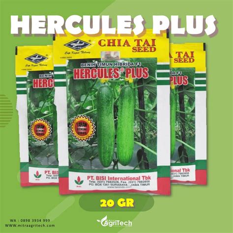 Jual Benih Bibit Timun Hercules Plus F Isi Gram Chia Tai Seed