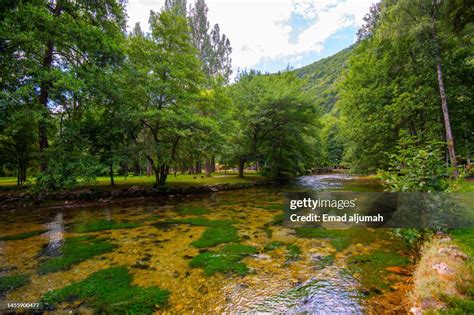 The Springs And River Of Vrelo Bosne Sarajevo Bosnia And Herzegovina