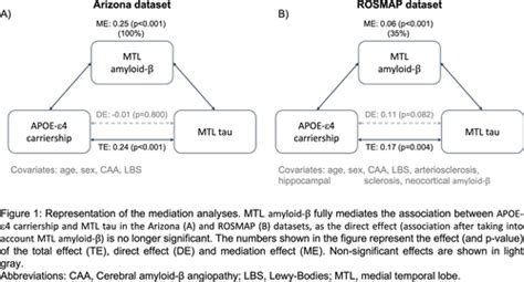 Neuropathological Evidence That The Association Between Apoe‐e4