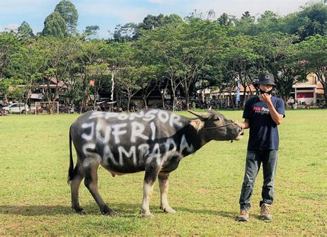 Juara Knpi Cup Pekan Pemuda Di Toraja Utara Tim Kesu Berhasil Bawa