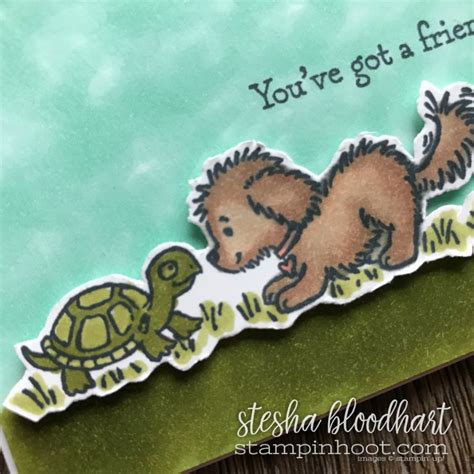 The Stamp Review Crew Brings Bella And Friends Stampin Hoot