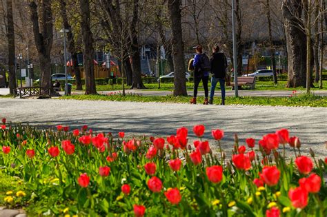 Cum va fi vremea în weekend la Cluj Temperaturi ridicate și șanse