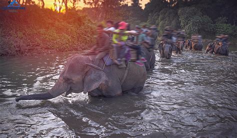 Nights Days Kathmandu Chitwan Lumbini And Pokhara Tour