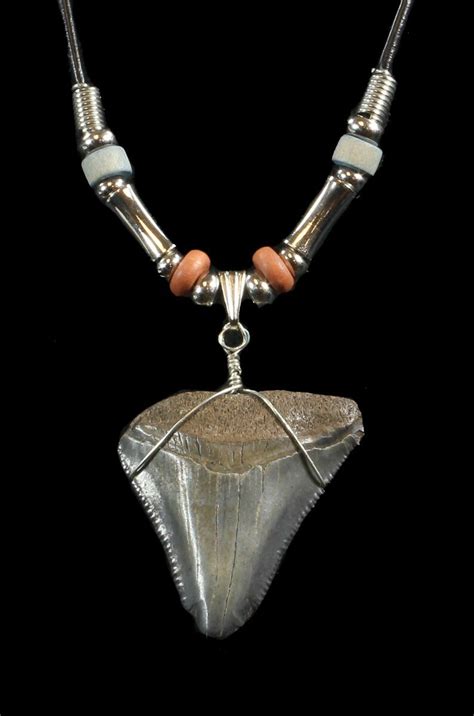 Fossil Megalodon Tooth Necklace For Sale Fossilera